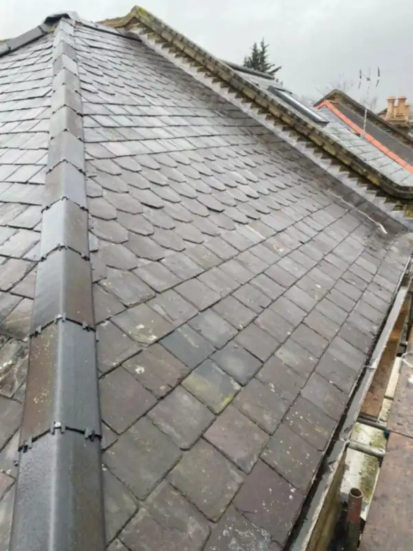 Grey slate roof and new ridge tiles running away from the scaffold, with rooftops beyond
